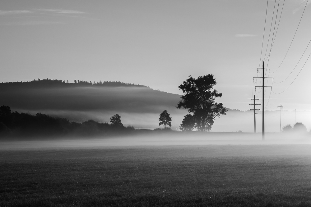 (F_Tramer) Sommernebelbänke-2